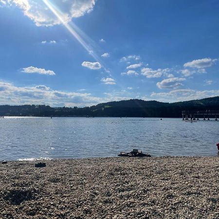 Apartman 511 Lipno nad Vltavou Dış mekan fotoğraf